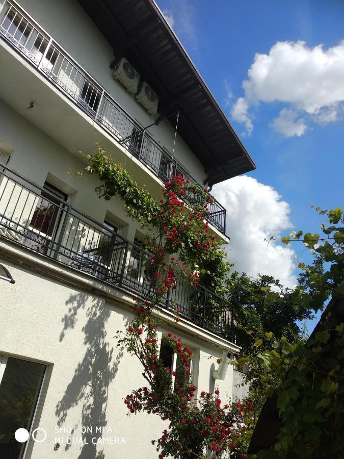 Casa Romaneasca Curtea de Argeş Esterno foto